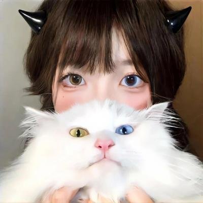 旱码头 在线观看